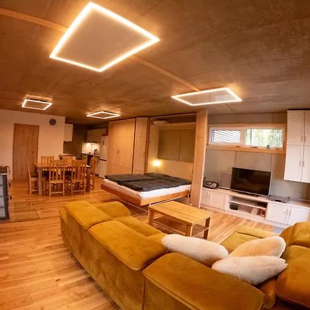 Apartment U Holoubka